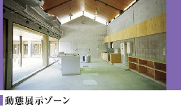動態展示ゾーン